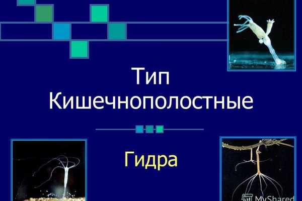 Кракен маркетплейс kr2connect co