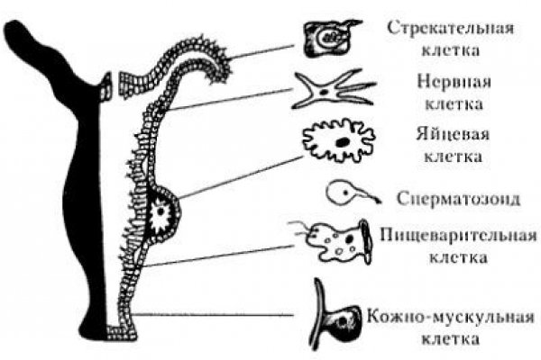 Кракен это наркотики