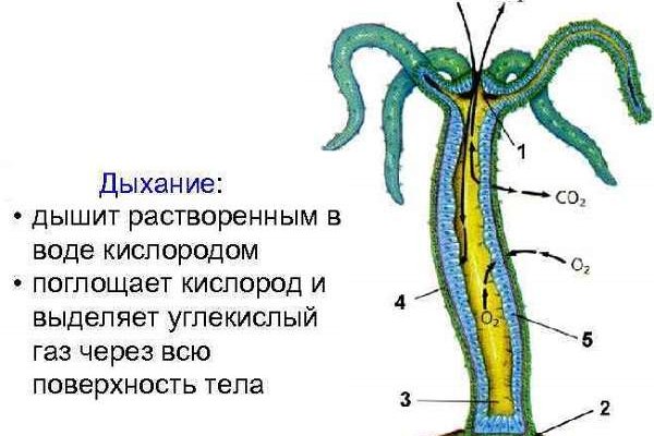 Кракен маркет