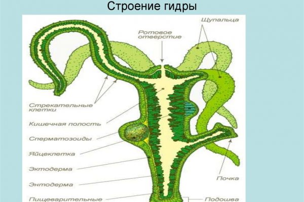 Кракен сайт 14