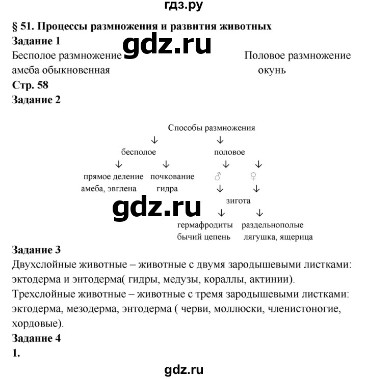 Ссылка на даркнет в тор