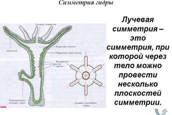 Кракен зеркало на сайт